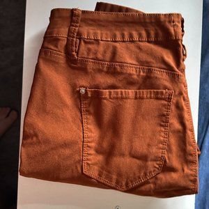 Women's Orange Stretchy Pants - Size 2X - NWOT